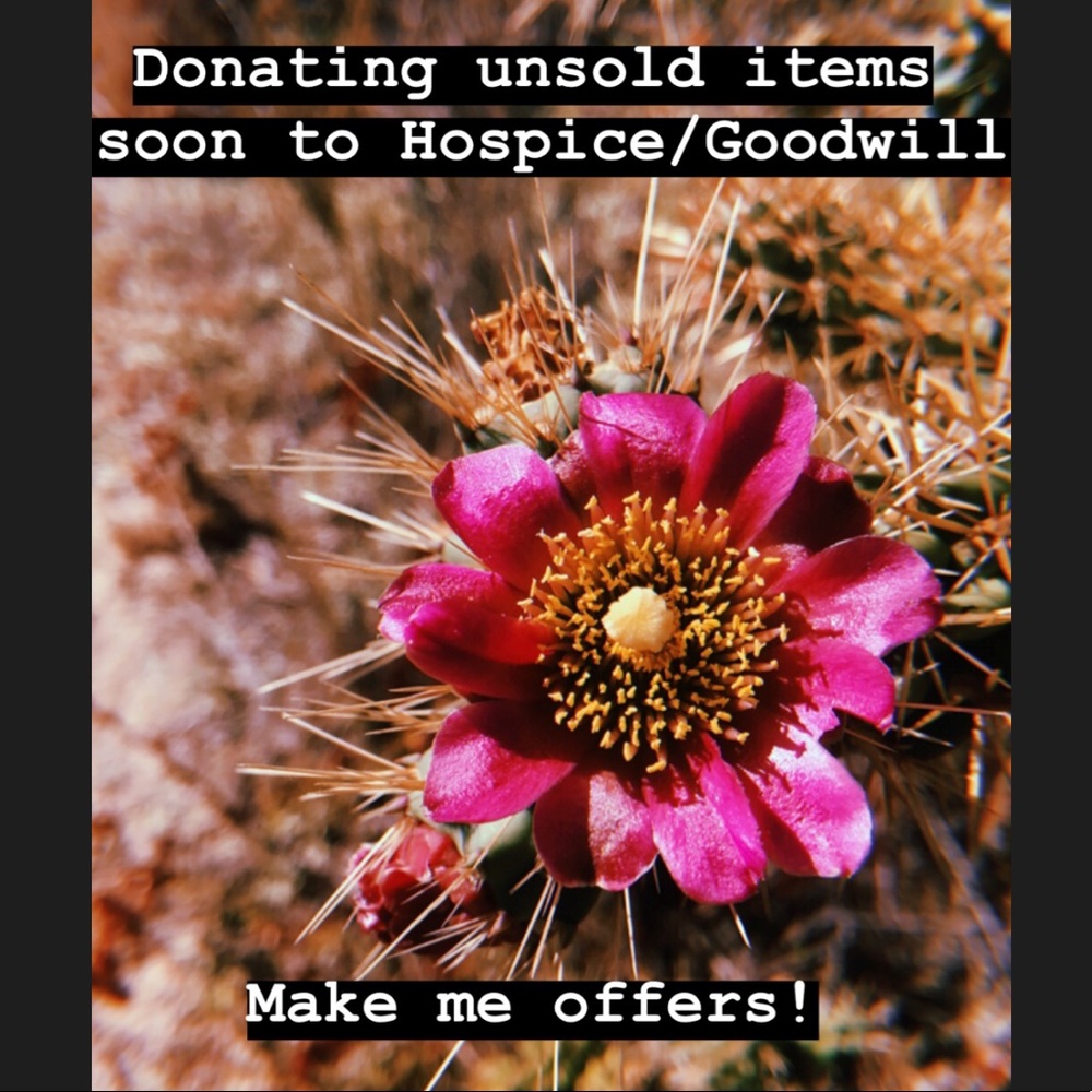 Donating Closet to Thrift Stores Soon!